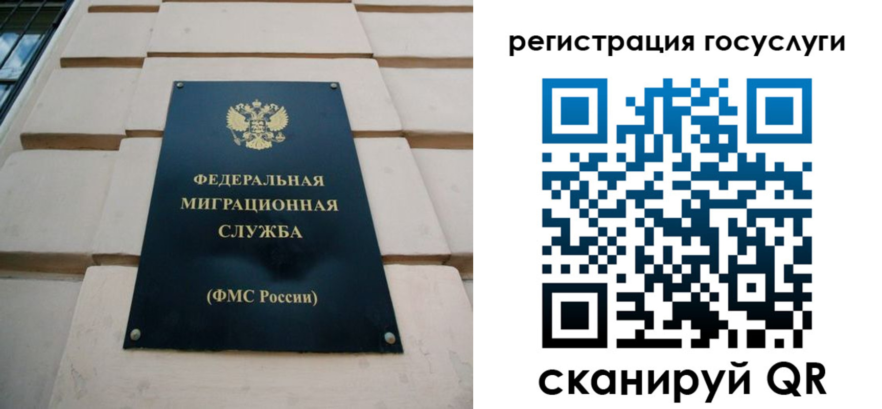 временная регистрация поиск в Мончегорске